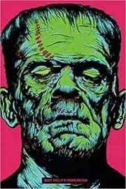 Book cover for "Frankenstein" by Mary Shelley