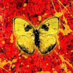 Ed Sheeran profile picture